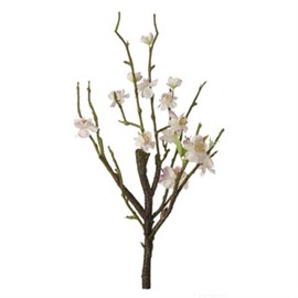Kirschblütenstrauch, weiß L.: 40,5 cm Produktbild